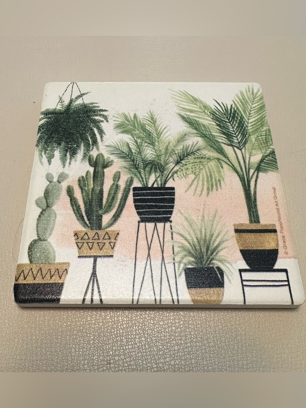 Plant theme ceramic coasters set of 4